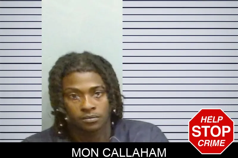 Mon Callaham mugshot – Fulton County , Georgia Mon Callaham mugshot