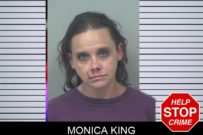 Monica King mugshot – Gwinnett County , Georgia Monica King mugshot