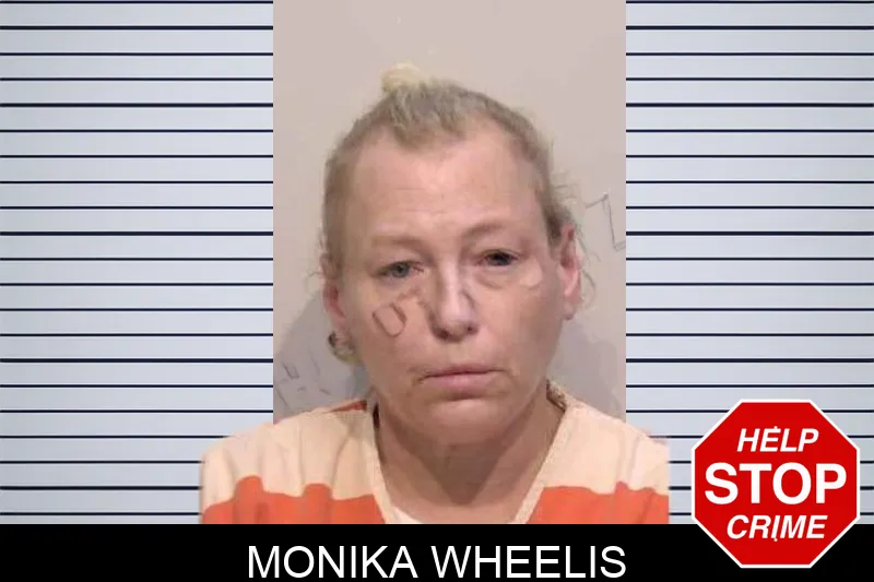 Monika Wheelis mugshot – Bartow County , Georgia Monika Wheelis mugshot
