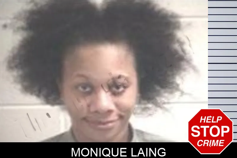 Monique Laing mugshot