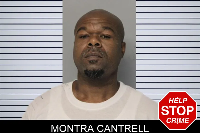 Montra Cantrell mugshot – Hall County , Georgia Montra Cantrell mugshot