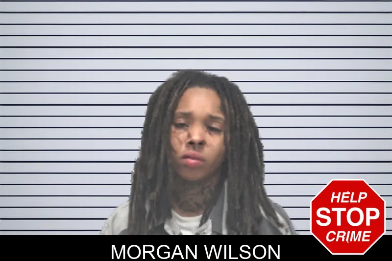 Morgan Wilson mugshot – Dougherty County , Georgia Morgan Wilson mugshot