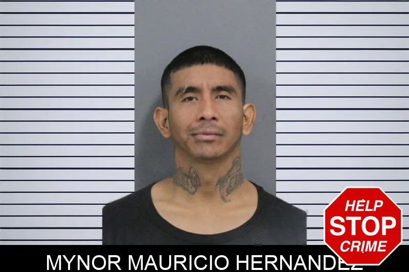 Mynor Mauricio Hernandez mugshot