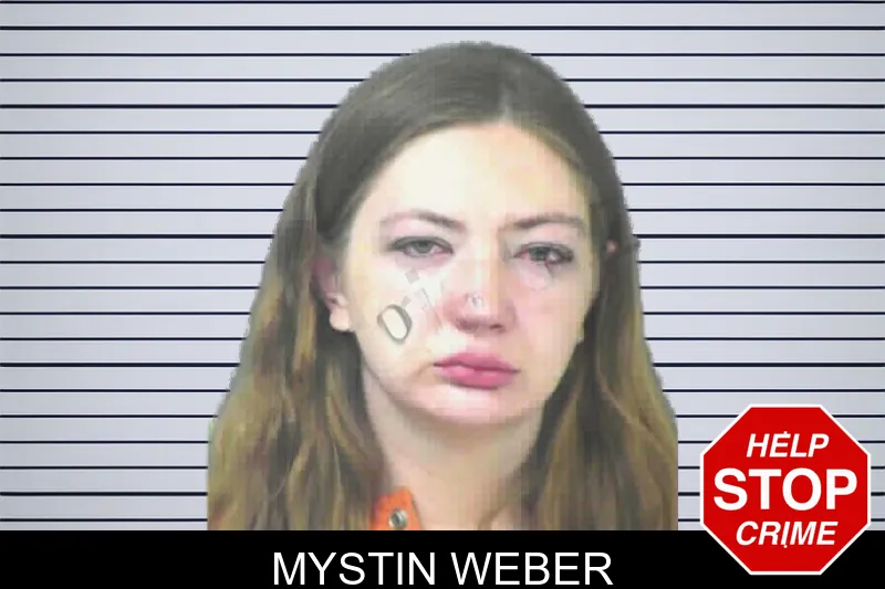 Mystin Weber mugshot – Mitchell County , Georgia Mystin Weber mugshot
