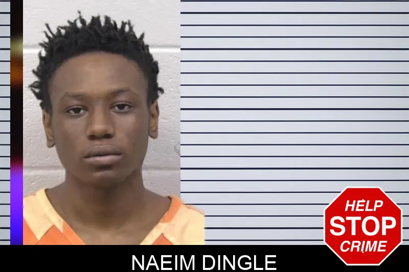 Naeim Dingle mugshot – Paulding County , Georgia Naeim Dingle mugshot