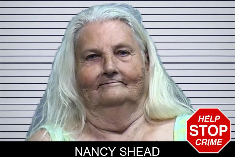 Nancy Shead mugshot – Effingham County , Georgia Nancy Shead mugshot