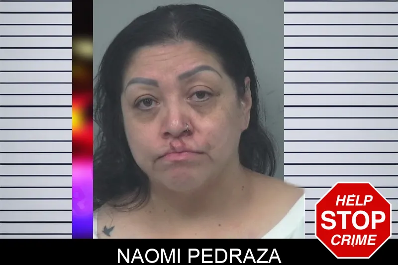 Naomi Pedraza mugshot – Gwinnett County , Georgia Naomi Pedraza mugshot