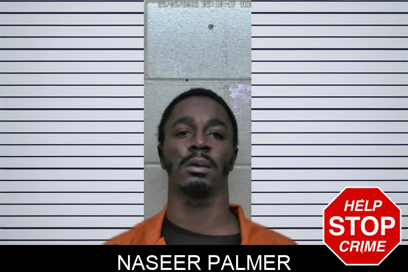 Naseer Palmer mugshot