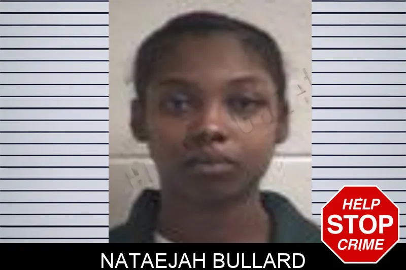 Nataejah Bullard mugshot – Henry County , Georgia Nataejah Bullard mugshot
