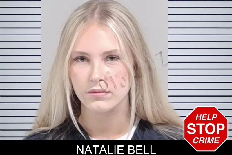 Natalie Bell mugshot – Lowndes County , Georgia Natalie Bell mugshot