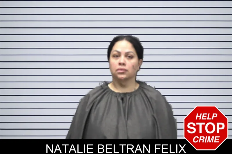Natalie Beltran Felix mugshot – Forsyth County , Georgia Natalie Beltran Felix mugshot