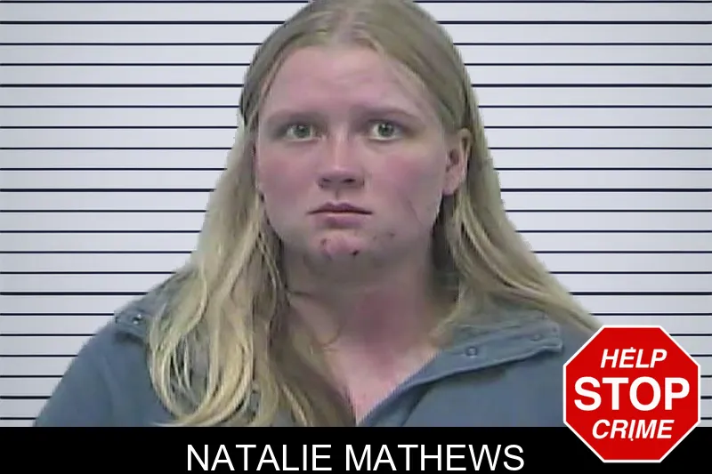 Natalie Mathews mugshot – Dawson County , Georgia Natalie Mathews mugshot