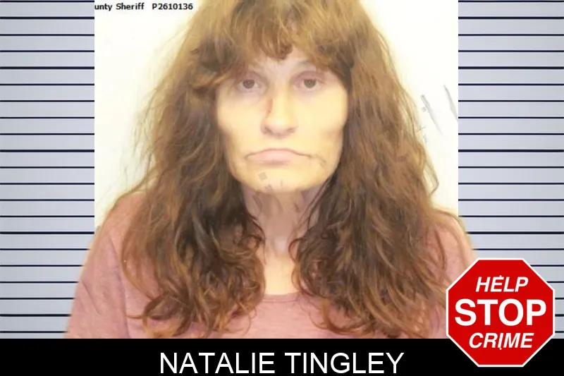 Natalie Tingley mugshot – Chatham County , Georgia Natalie Tingley mugshot