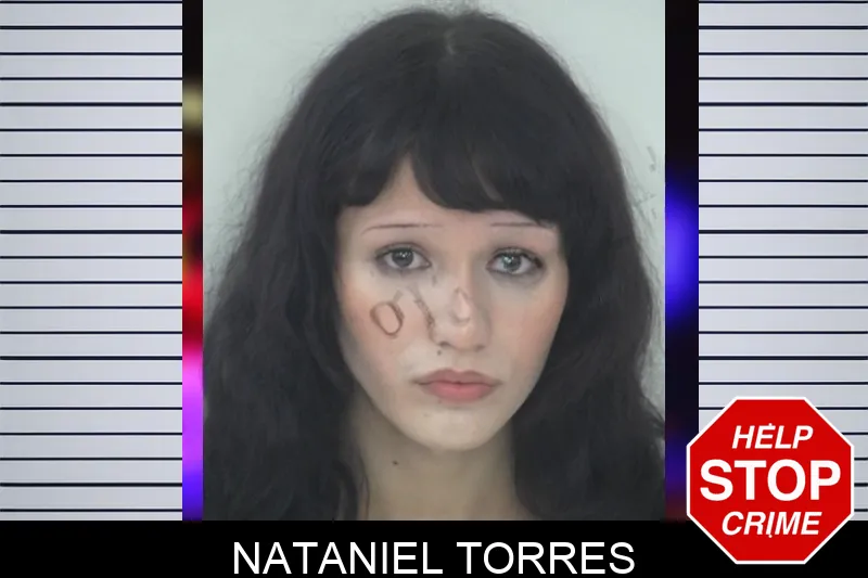 Nataniel Torres mugshot – Fayette County , Georgia Nataniel Torres mugshot