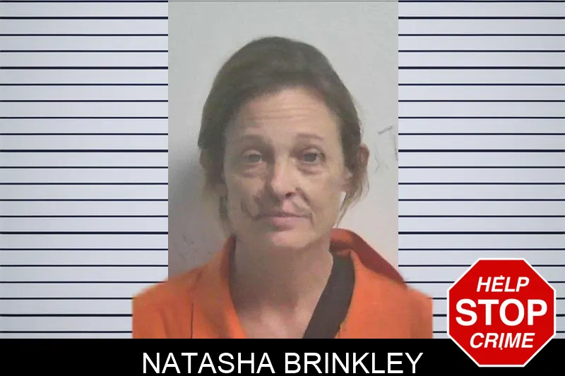 Natasha Brinkley mugshot