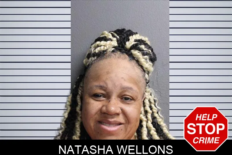 Natasha Wellons mugshot