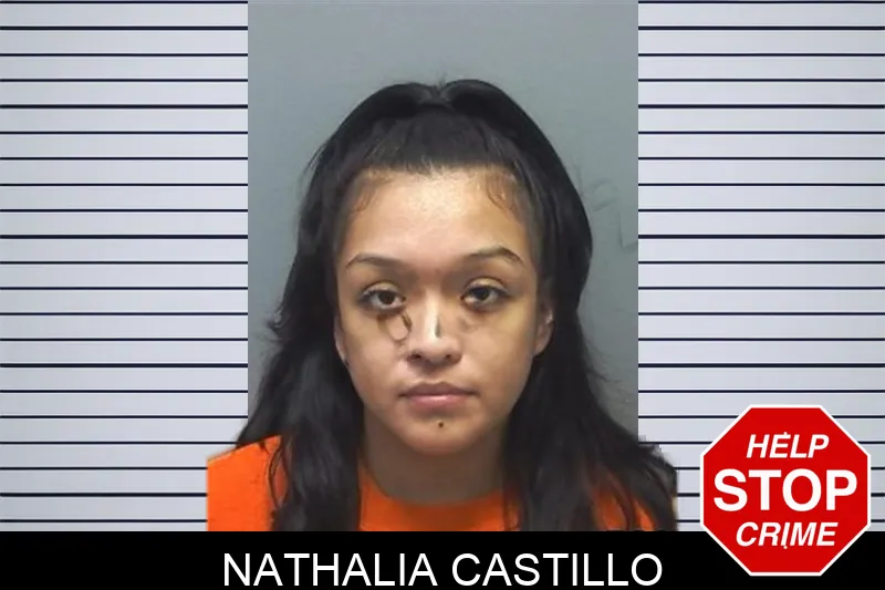 Nathalia Castillo mugshot – Cherokee County , Georgia Nathalia Castillo mugshot