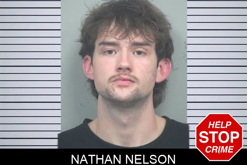 Nathan Nelson mugshot – Gwinnett County , Georgia Nathan Nelson mugshot