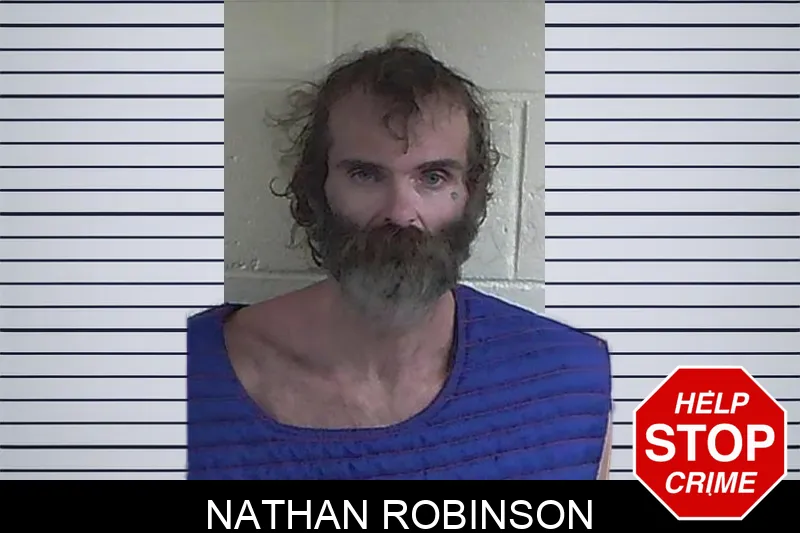 Nathan Robinson mugshot
