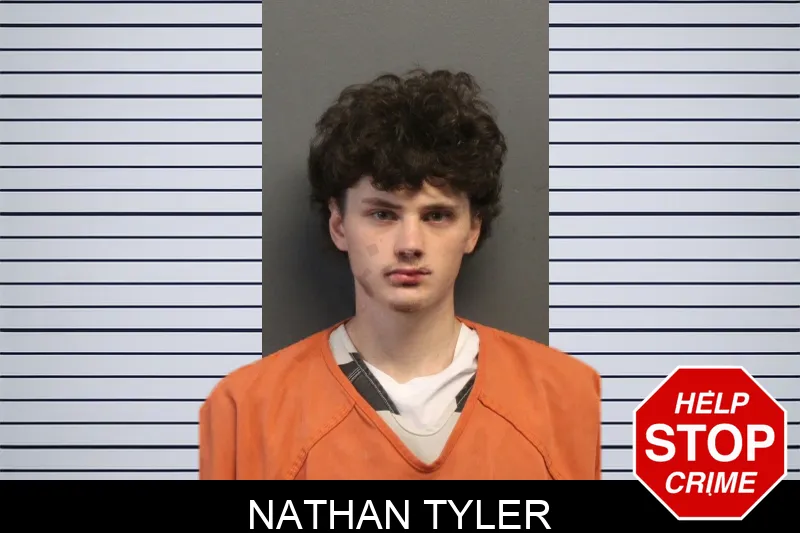 Nathan Tyler mugshot – Lumpkin County , Georgia Nathan Tyler mugshot