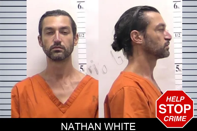 Nathan White mugshot – Clarke County , Georgia Nathan White mugshot