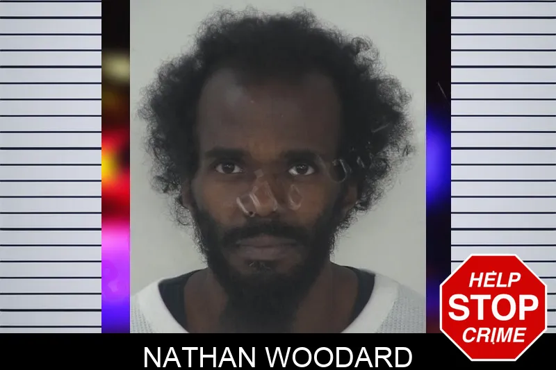 Nathan Woodard mugshot – Fayette County , Georgia Nathan Woodard mugshot