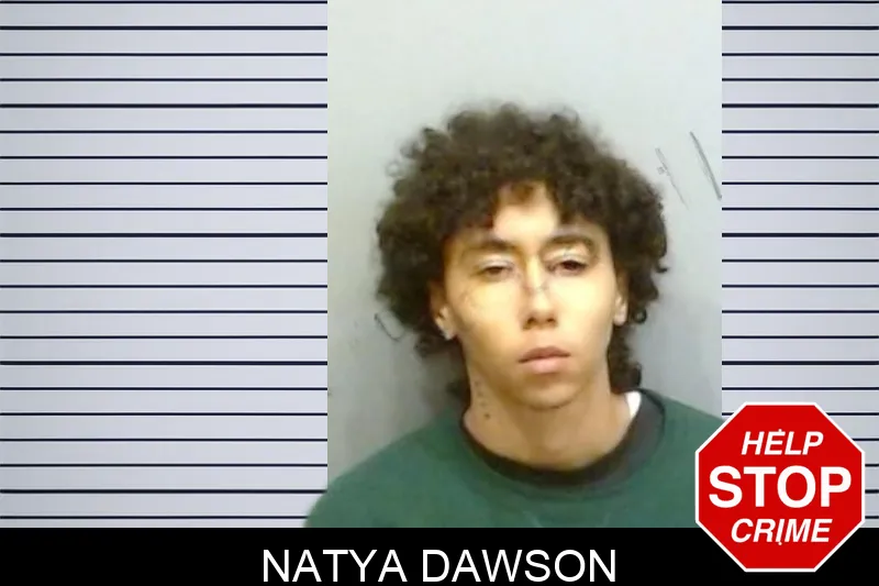 Natya Dawson mugshot – Fulton County , Georgia Natya Dawson mugshot