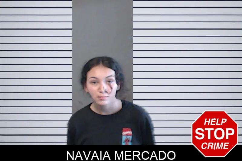 Navaia Mercado mugshot – DeKalb County , Georgia Navaia Mercado mugshot