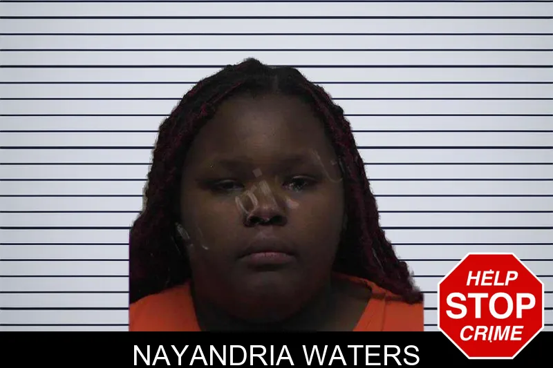 Nayandria Waters mugshot – Laurens County , Georgia Nayandria Waters mugshot
