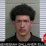 Nehemiah Gallaher Ellis mugshot – Wayne County , Georgia Nehemiah Gallaher Ellis mugshot