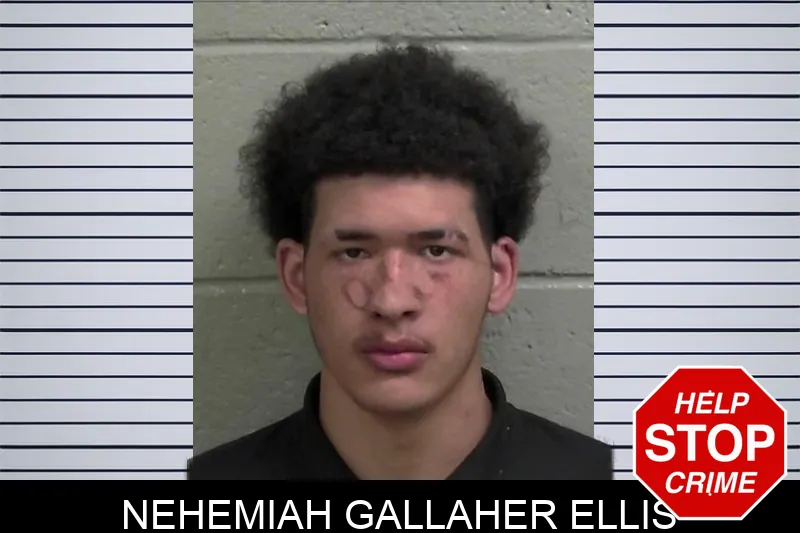 Nehemiah Gallaher Ellis mugshot