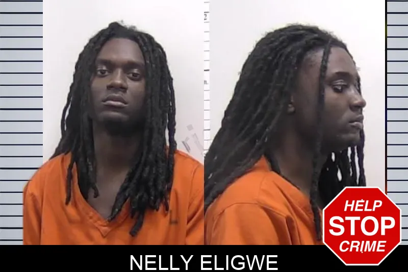 Nelly Eligwe mugshot – Clarke County , Georgia Nelly Eligwe mugshot