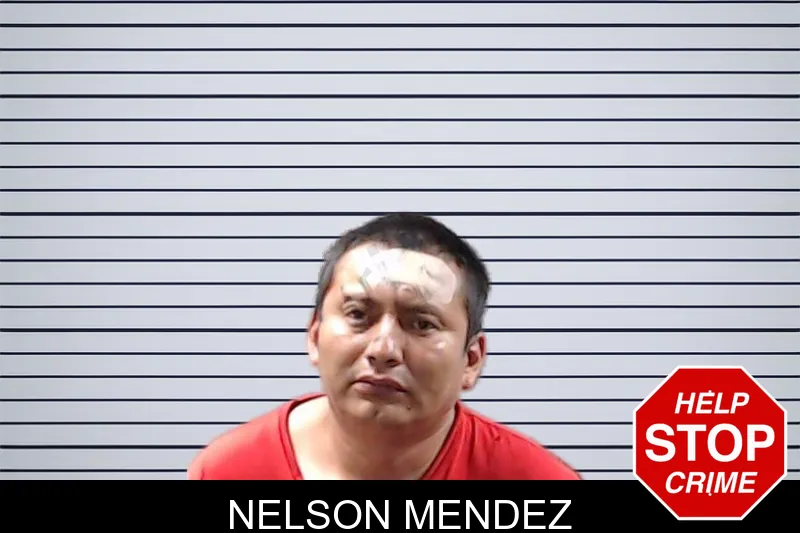 Nelson Mendez mugshot – DeKalb County , Georgia Nelson Mendez mugshot