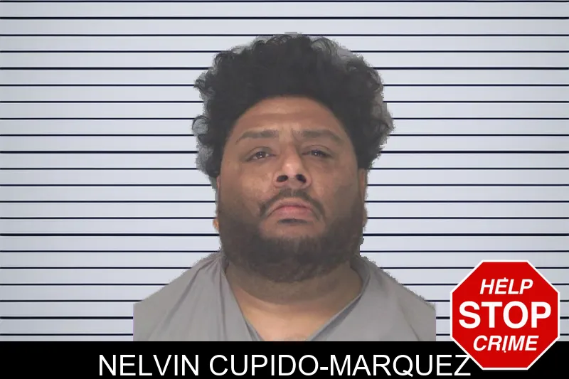 Nelvin Cupido-Marquez mugshot – Douglas County , Georgia Nelvin Cupido-Marquez mugshot
