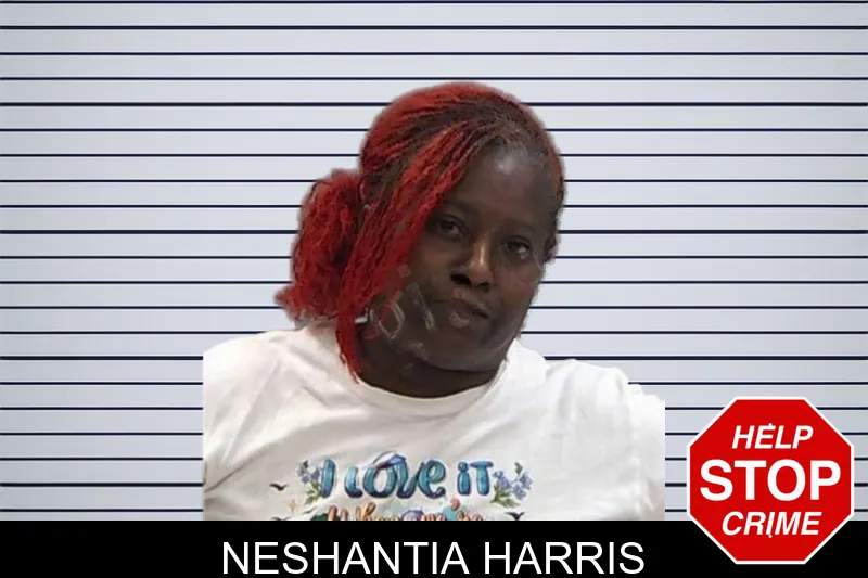 Neshantia Harris mugshot – Baldwin County , Georgia Neshantia Harris mugshot