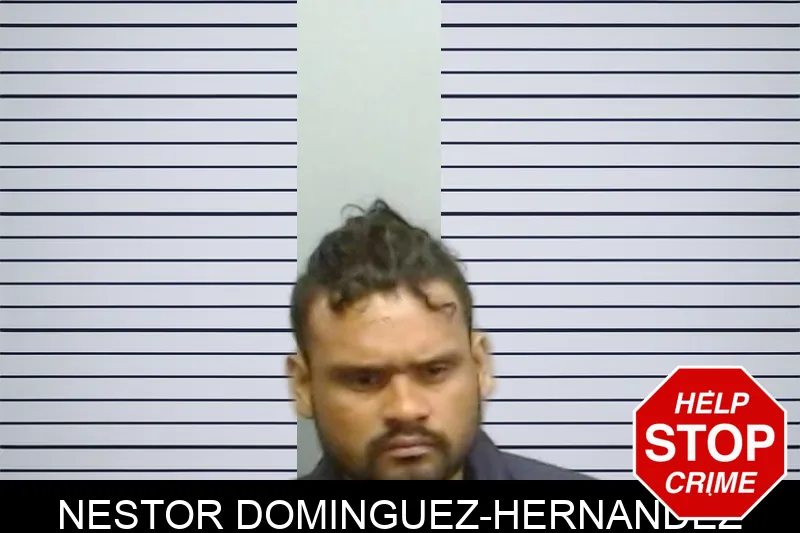 Nestor Dominguez-Hernandez mugshot – Fulton County , Georgia Nestor Dominguez-Hernandez mugshot