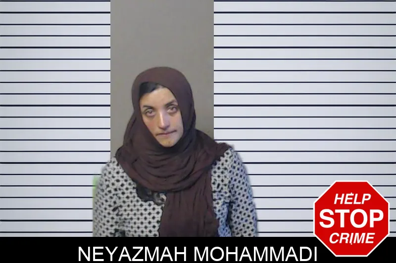 Neyazmah Mohammadi mugshot – DeKalb County , Georgia Neyazmah Mohammadi mugshot