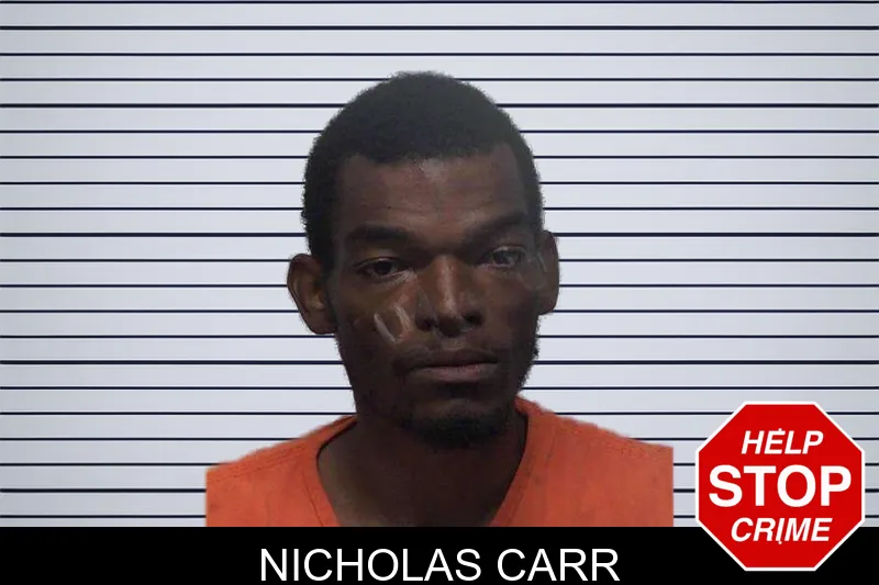 Nicholas Carr mugshot