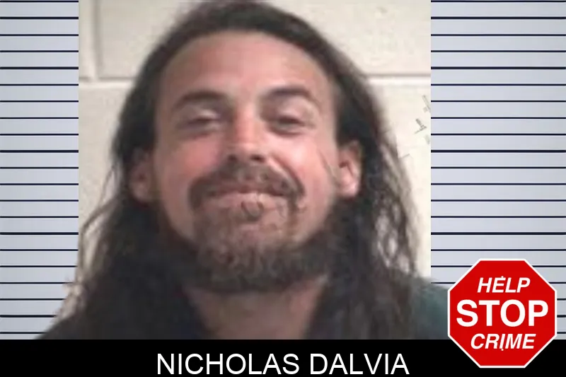 Nicholas Dalvia mugshot – Henry County , Georgia Nicholas Dalvia mugshot