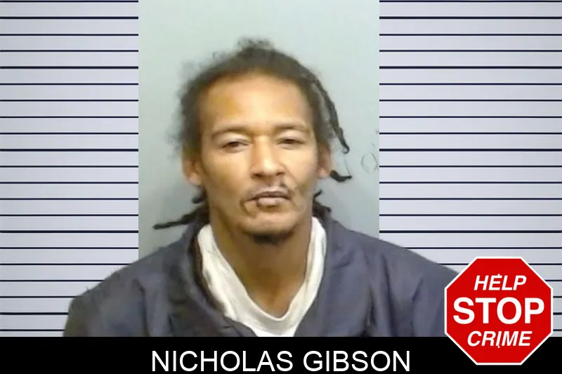 Nicholas Gibson mugshot