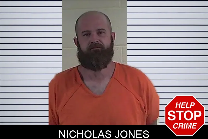 Nicholas Jones mugshot – Fannin County , Georgia Nicholas Jones mugshot