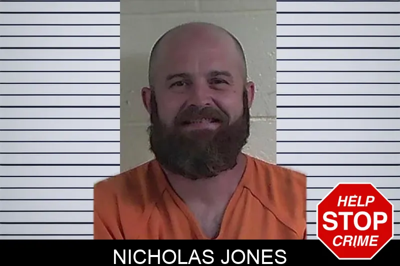 Nicholas Jones mugshot – Fannin County , Georgia Nicholas Jones mugshot