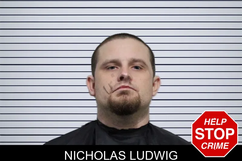 Nicholas Ludwig mugshot – Habersham County , Georgia Nicholas Ludwig mugshot