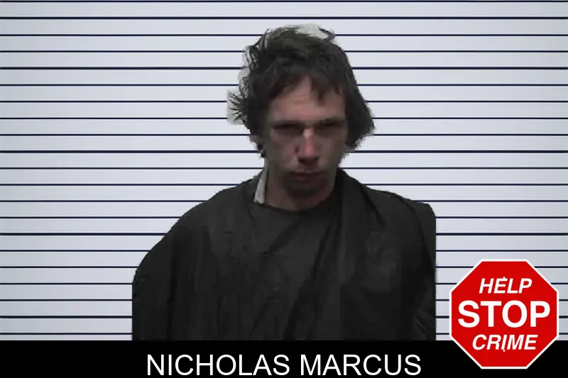 Nicholas Marcus mugshot – Pike County , Georgia Nicholas Marcus mugshot