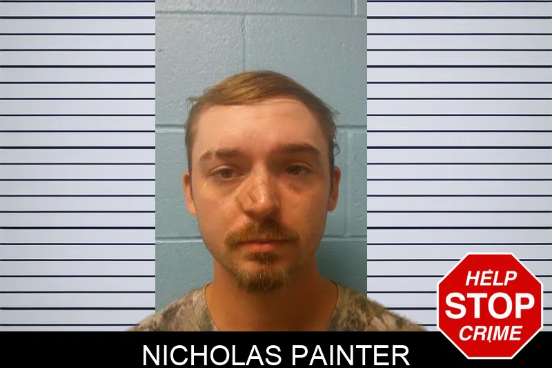 Nicholas Painter mugshot – Franklin County , Georgia Nicholas Painter mugshot