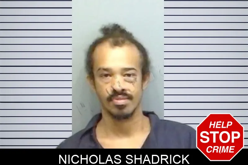 Nicholas Shadrick mugshot – Fulton County , Georgia Nicholas Shadrick mugshot