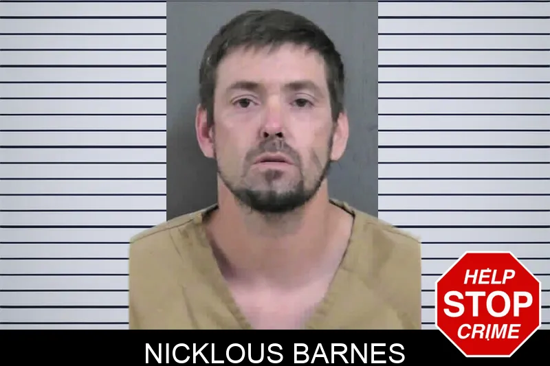 Nicklous Barnes mugshot