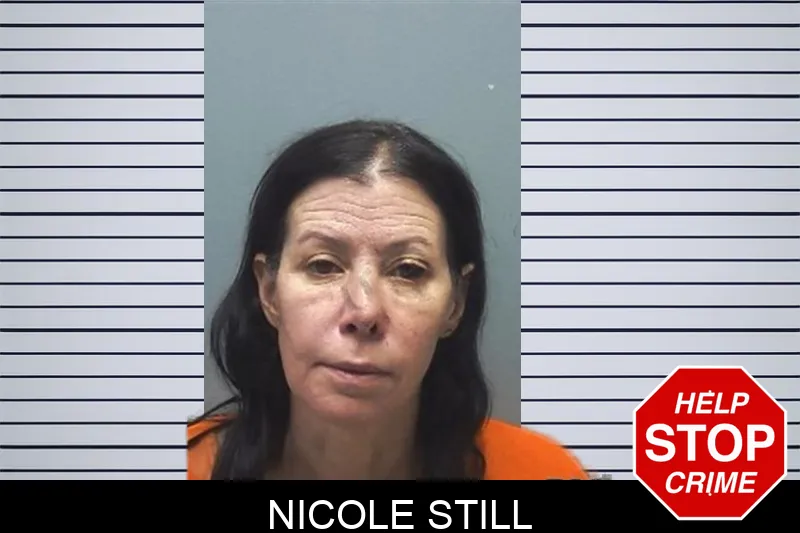 Nicole Still mugshot – Cherokee County , Georgia Nicole Still mugshot