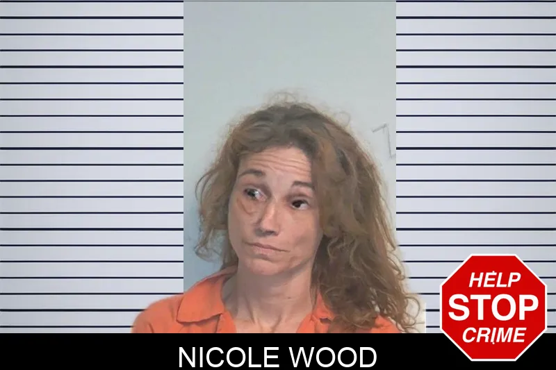 Nicole Wood mugshot – Berrien County , Georgia Nicole Wood mugshot