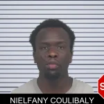 Nielfany Coulibaly mugshot – Gwinnett County , Georgia Nielfany Coulibaly mugshot
